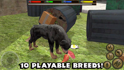 Ultimate Dog Simulator