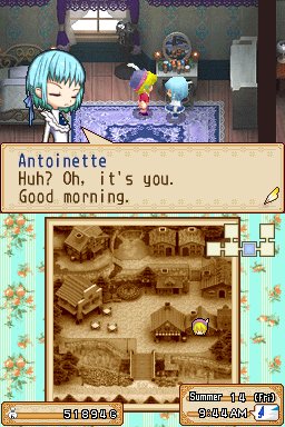 Harvest Moon DS: Grand Bazaar