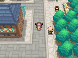 Pokémon Black Version 2