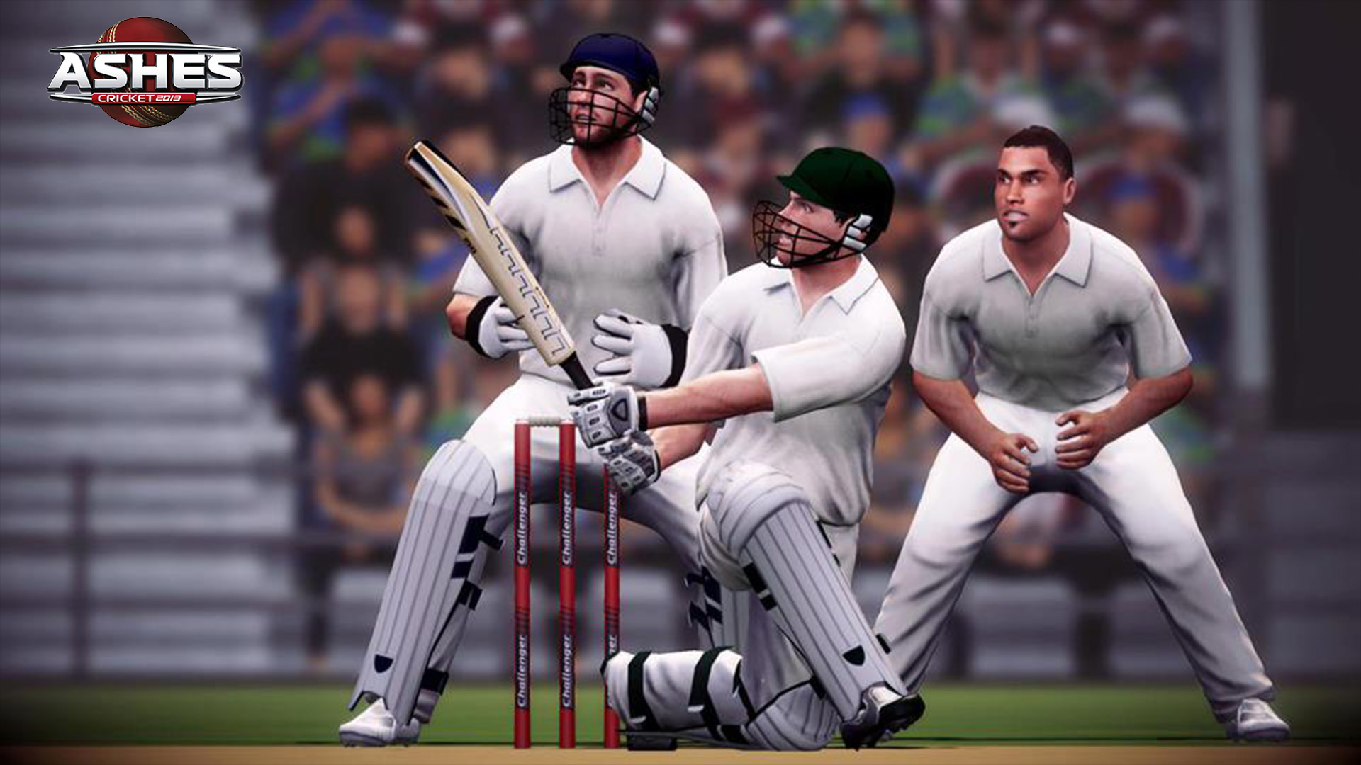 Ashes Cricket 2013