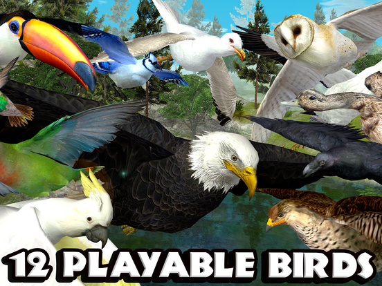 Ultimate Bird Simulator